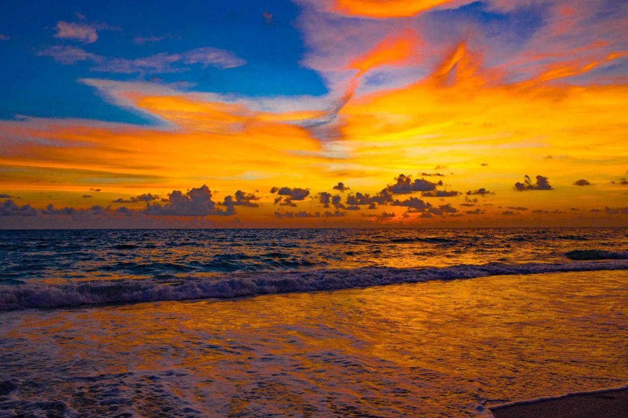 Anna Maria Island Beach Palms 8B เบรเดนทันบีช ภายนอก รูปภาพ