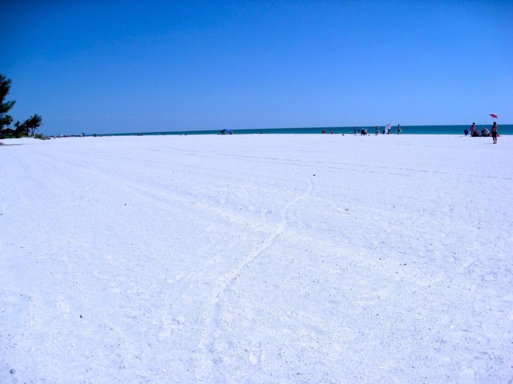 Anna Maria Island Beach Palms 8B เบรเดนทันบีช ภายนอก รูปภาพ